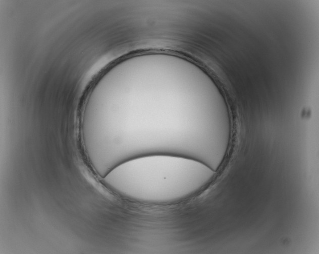 X0000114130982200910080958