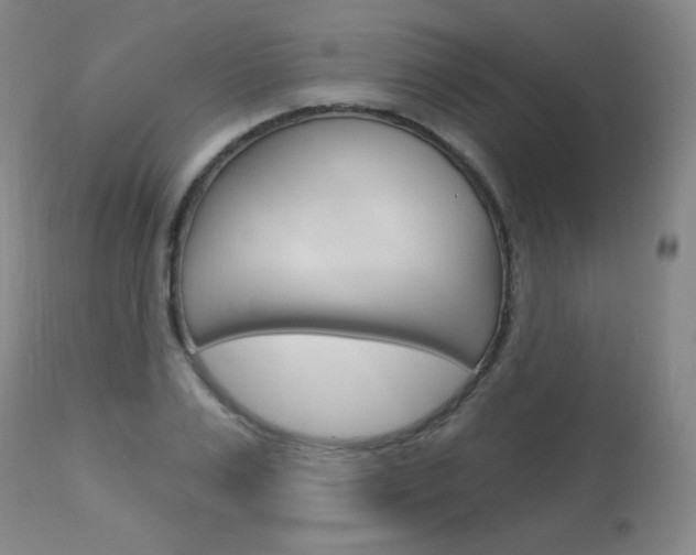 X0000114130983200910080958