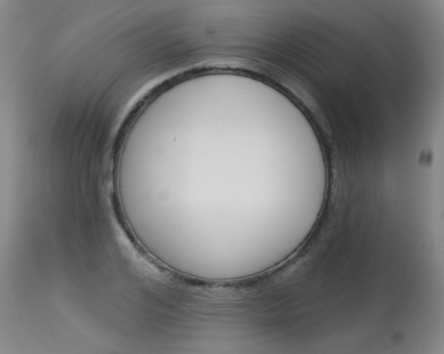 X0000114130984200910080958