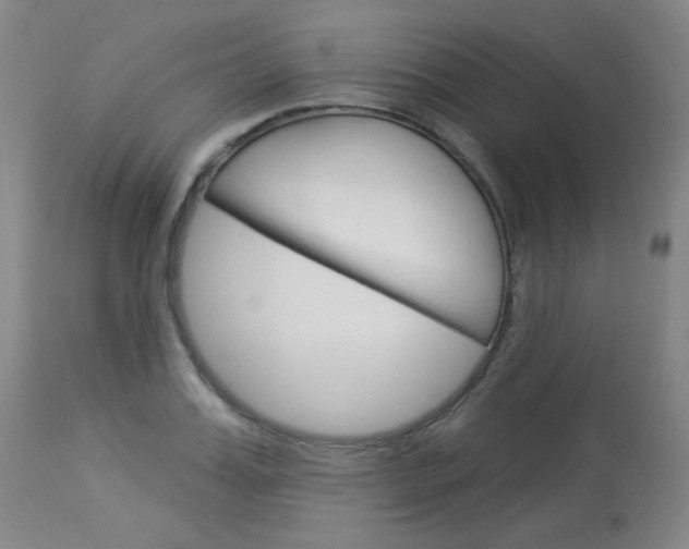 X0000114130987200910080958