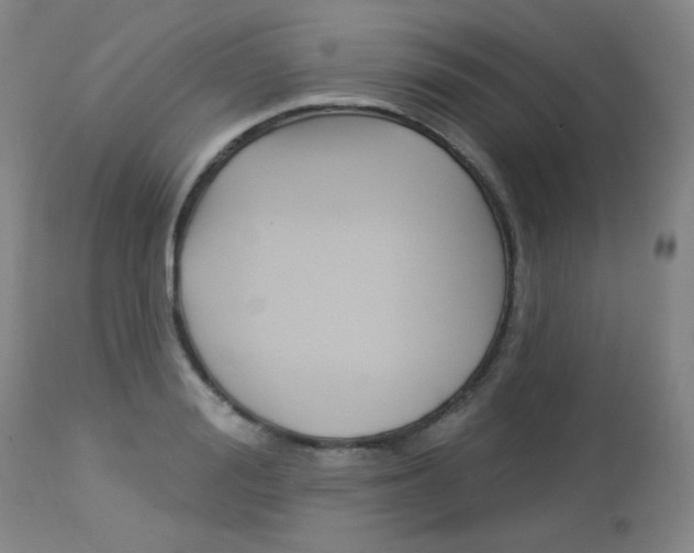 X0000114130988200910080958