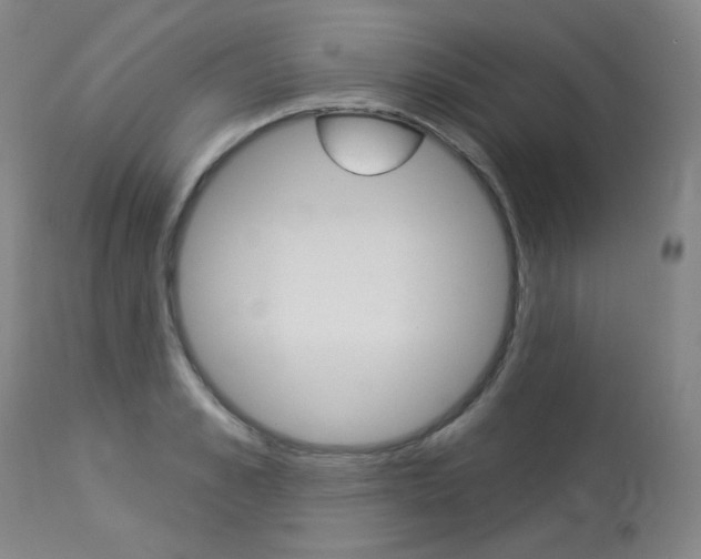 X0000114130989200910080958