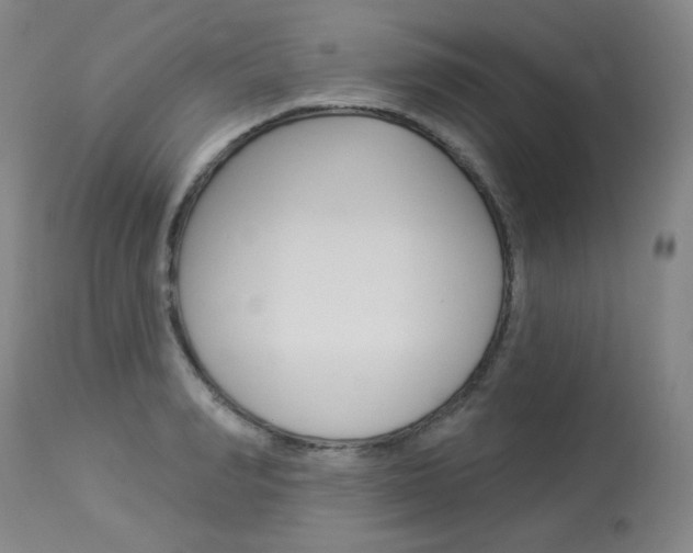 X0000114130990200910080958