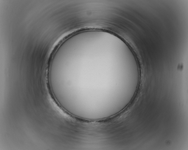 X0000114130992200910080958