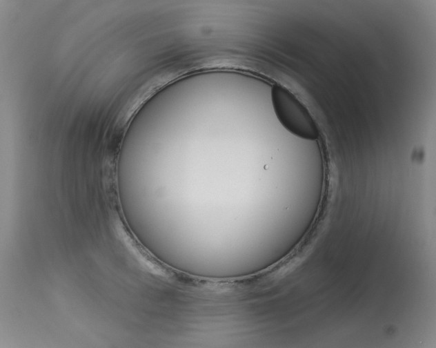 X0000114130993200910080958
