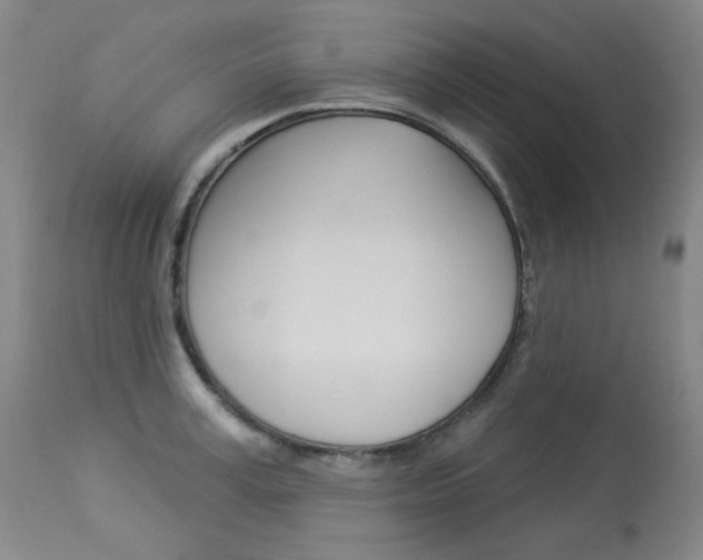 X0000114130995200910080958