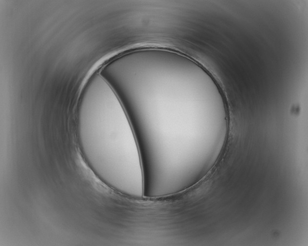 X0000114130996200910080958
