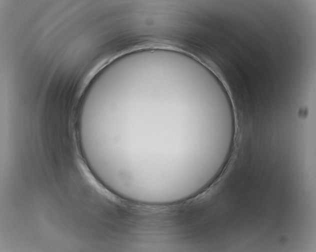 X0000114130997200910080958