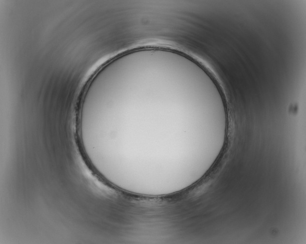 X0000114130999200910080958