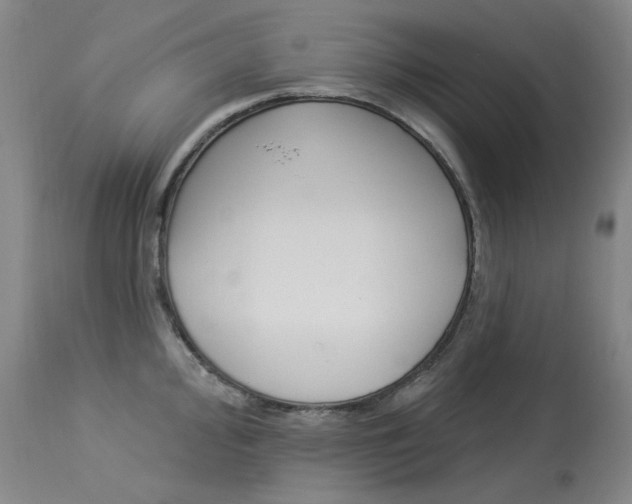 X0000114131000200910080958