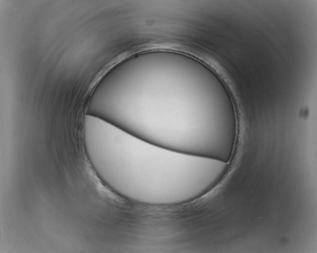 X0000114131001200910080958