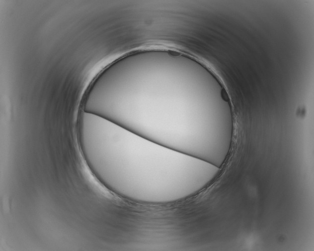 X0000114131003200910080958