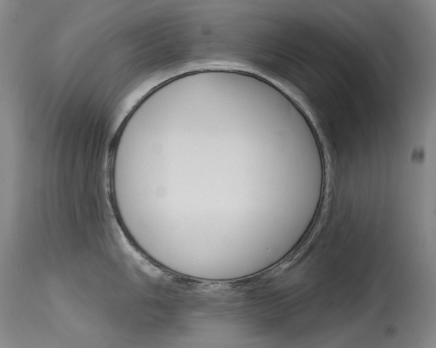 X0000114131006200910080958