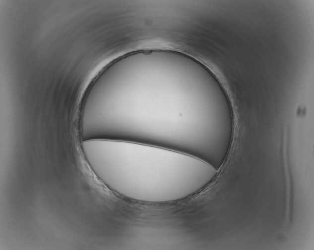 X0000114131008200910080958