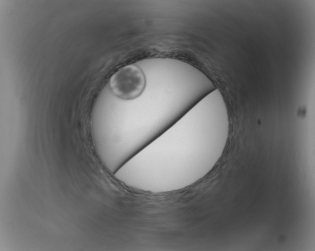 X0000114131009200910080957