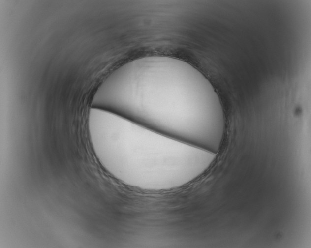 X0000114131010200910080957