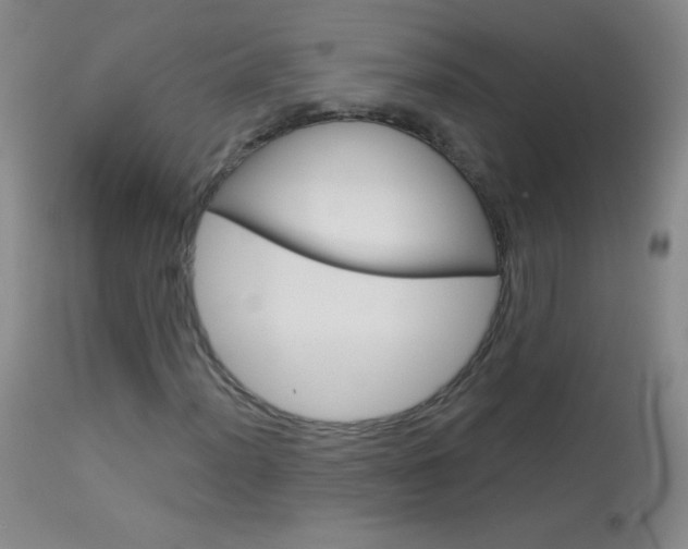 X0000114131012200910080957