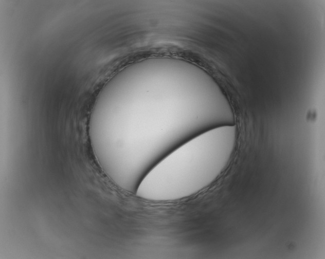 X0000114131013200910080957