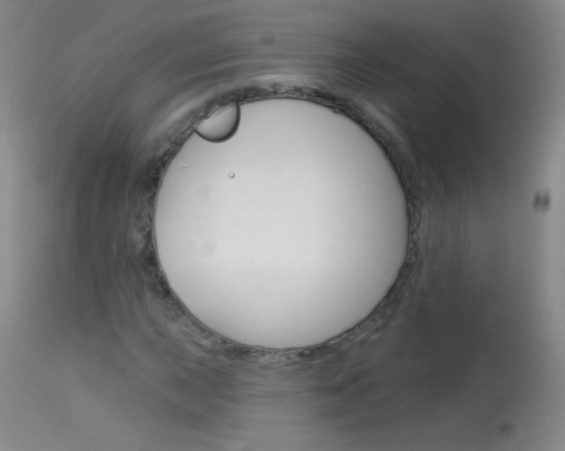 X0000114131015200910080957