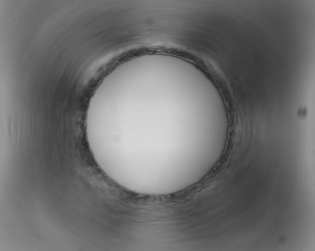 X0000114131016200910080957
