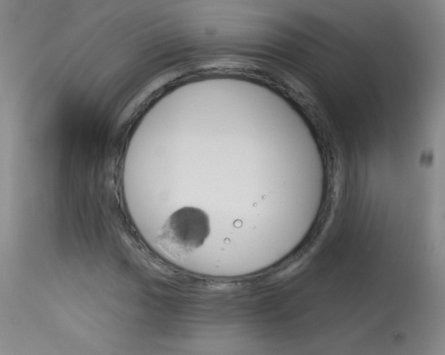 X0000114131017200910080957