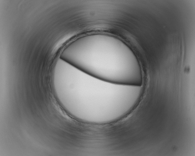 X0000114131018200910080957