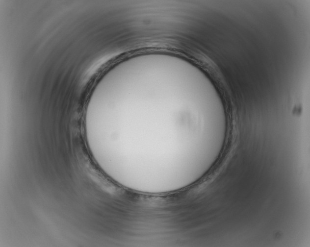 X0000114131019200910080957