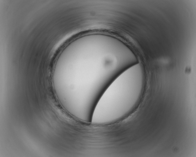 X0000114131021200910080957