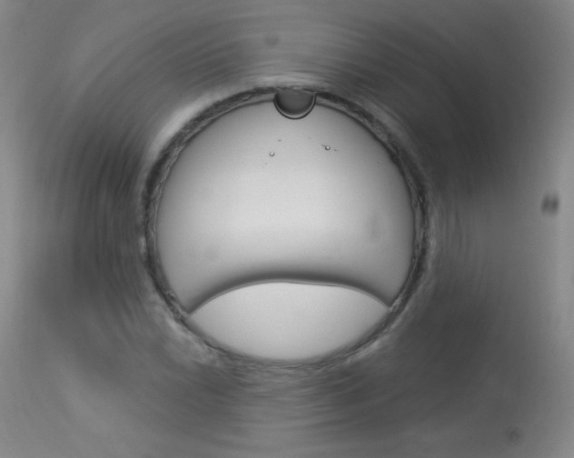 X0000114131022200910080957