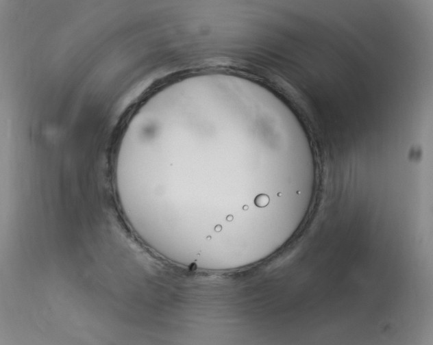 X0000114131023200910080957