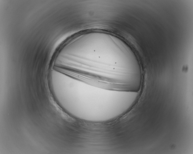 X0000114131024200910080957