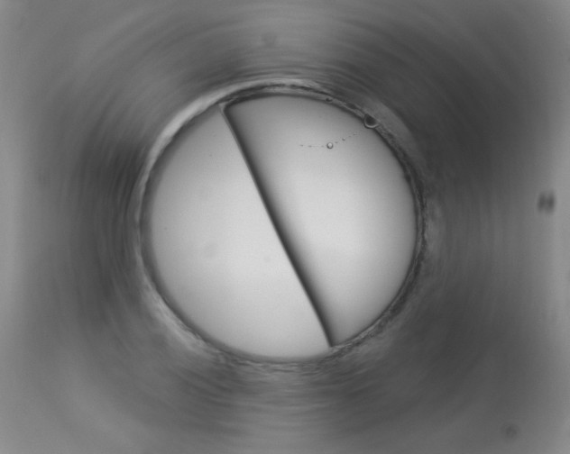X0000114131028200910080957