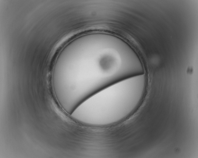 X0000114131029200910080957