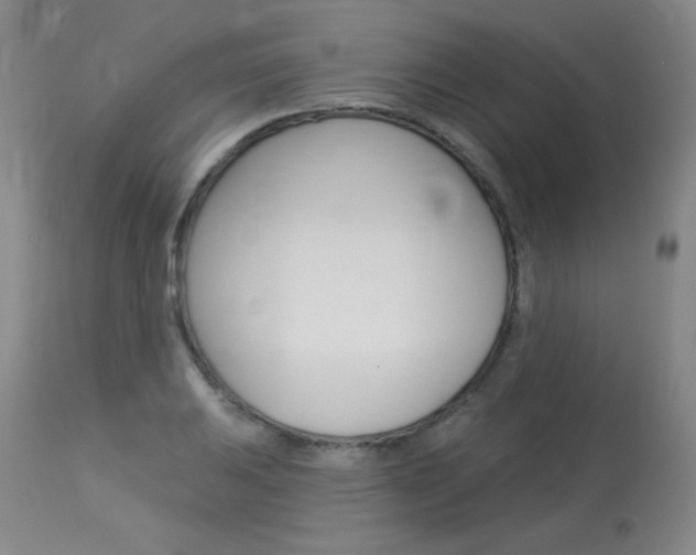 X0000114131031200910080957