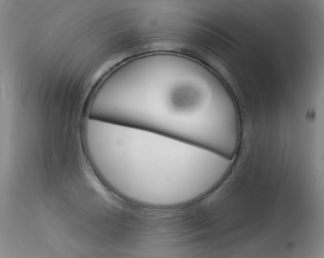 X0000114131034200910080957