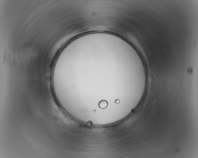 X0000114131035200910080957