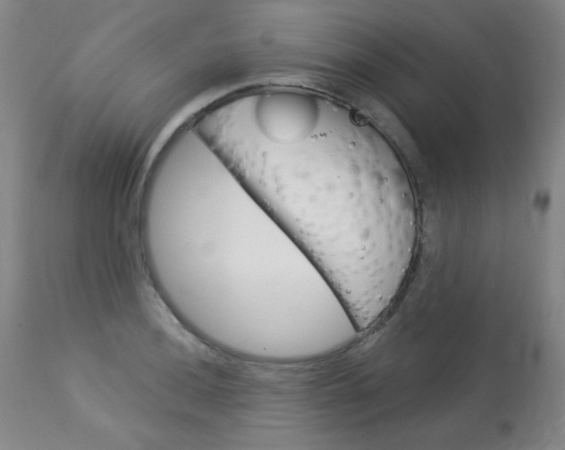 X0000114131036200910080957