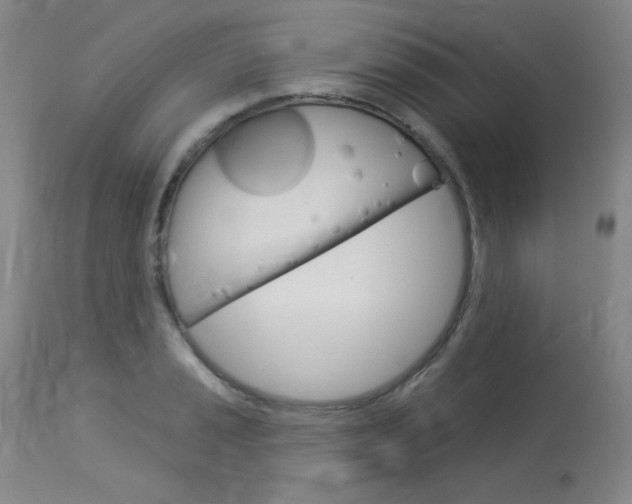 X0000114131037200910080957