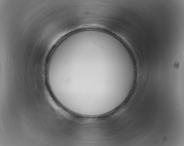 X0000114131038200910080957