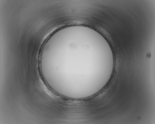 X0000114131039200910080957