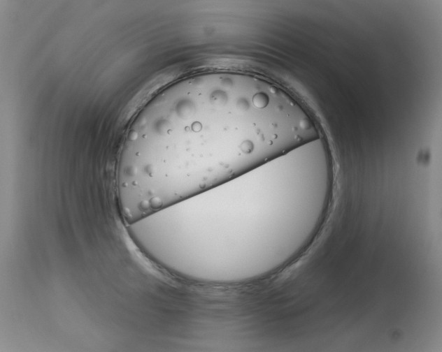X0000114131041200910080957