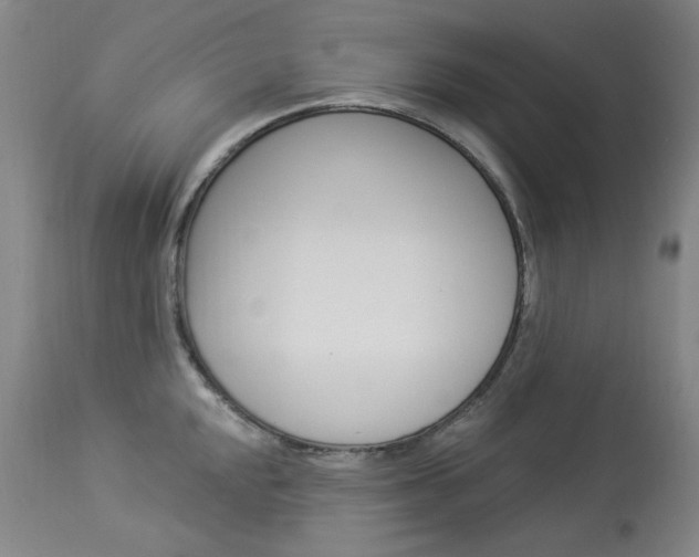 X0000114131048200910080957