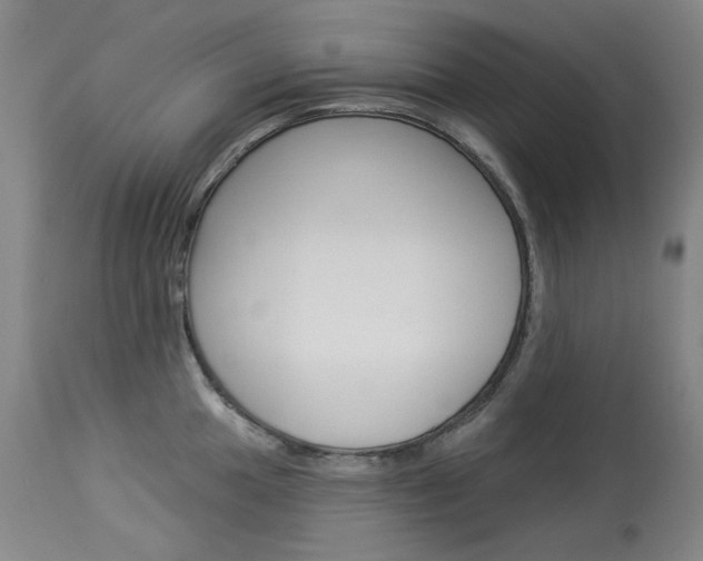 X0000114131049200910080957