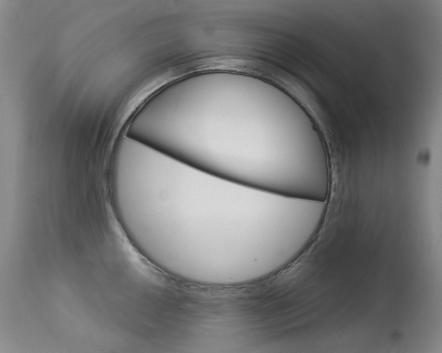 X0000114131050200910080957