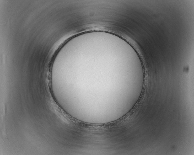 X0000114131051200910080957