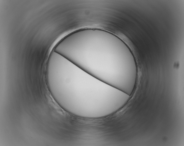 X0000114131052200910080957