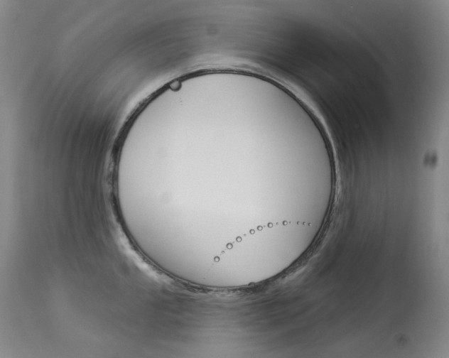 X0000114131053200910080957