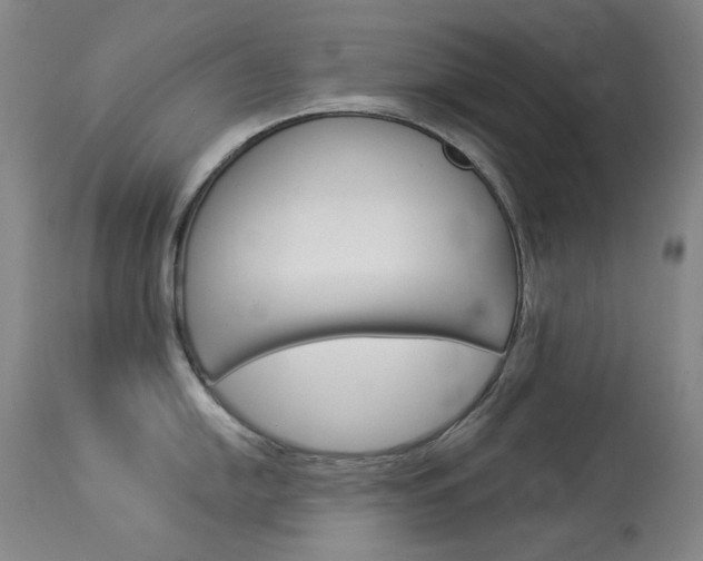 X0000114131054200910080957