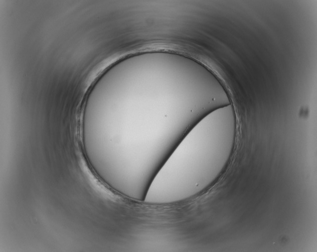 X0000114131055200910080958