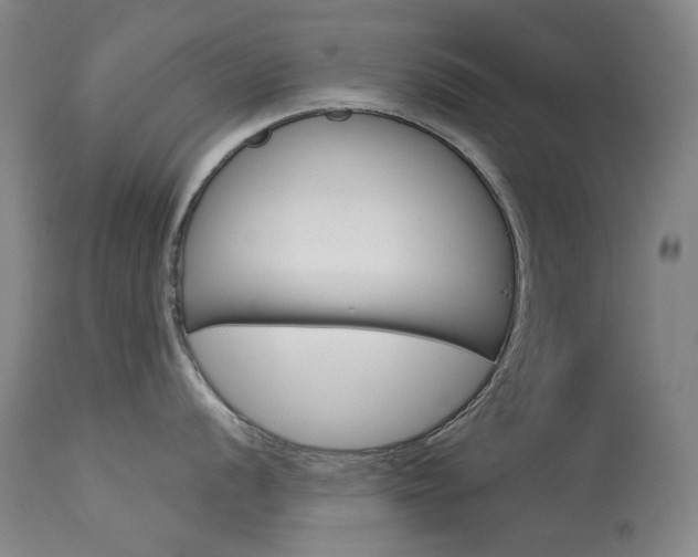 X0000114131056200910080958